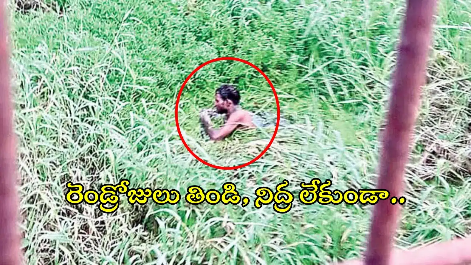 నీటి కుంటలో చిక్కుకున్న వ్యక్తి.. రెండ్రోజులు నరకయాతన, చివరకు..