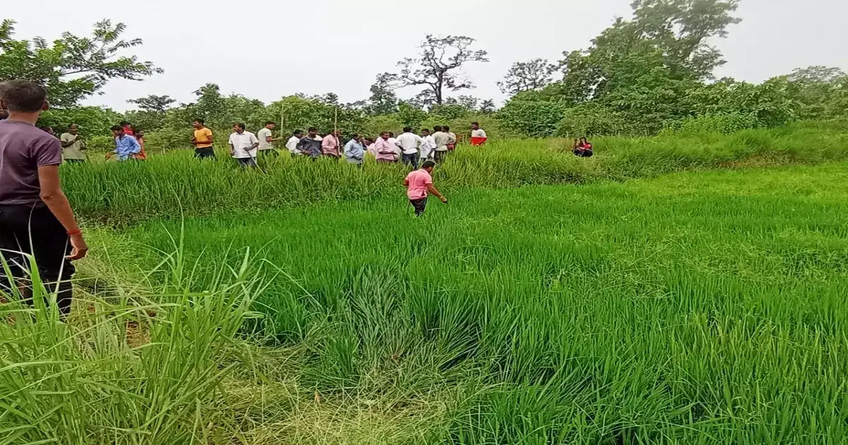 धक्कादायक…! महिला शेतावर गवत काढण्यात मग्न; अचानक अनर्थ अन् होत्याचं नव्हतं झालं धक्कादायक…! महिला शेतावर गवत काढण्यात मग्न; अचानक अनर्थ अन् होत्याचं नव्हतं झालं