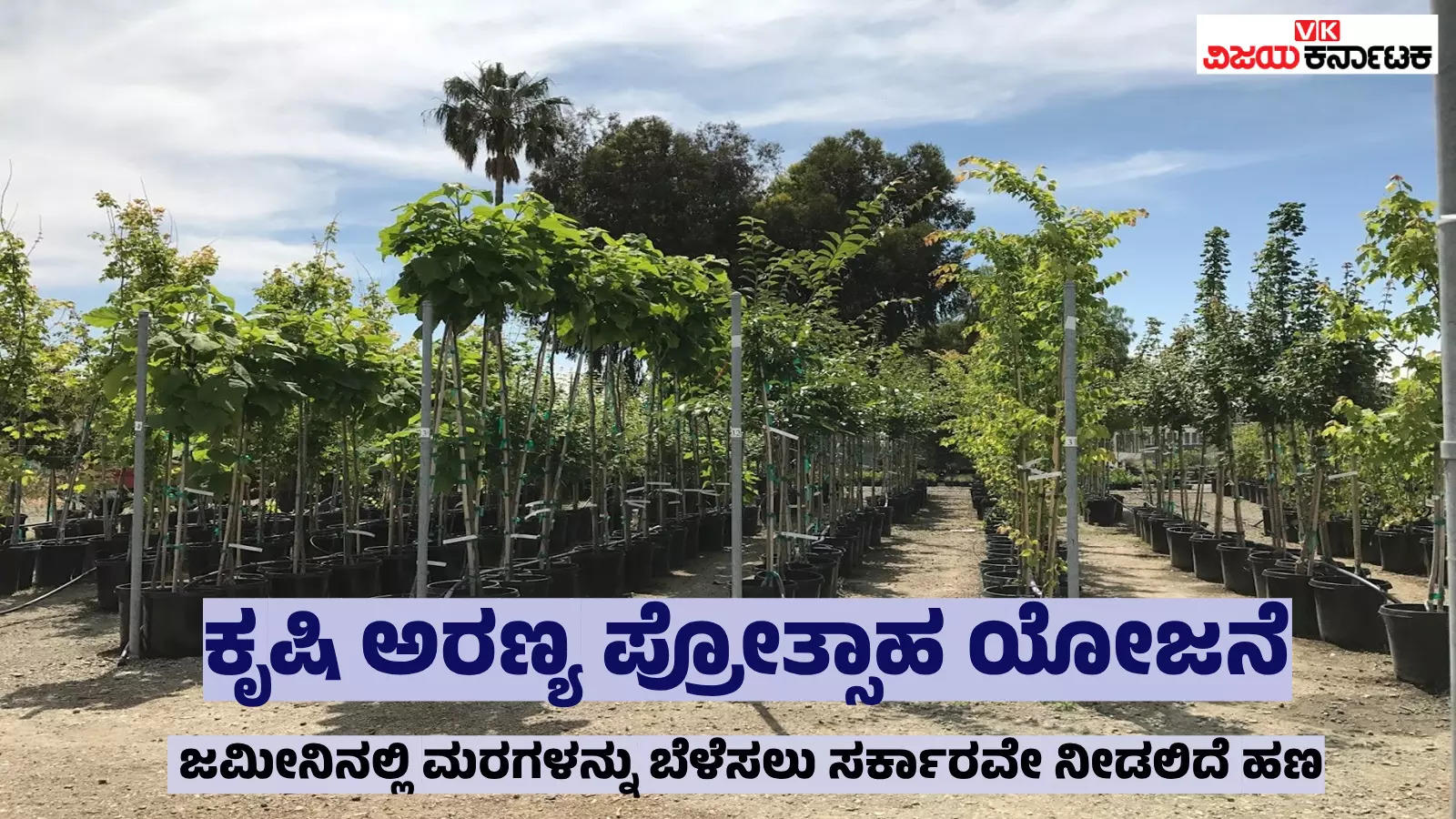 ಕೃಷಿ ಅರಣ್ಯ ಪ್ರೋತ್ಸಾಹ ಯೋಜನೆ: ನಿಮ್ಮ ಜಮೀನಿನಲ್ಲಿ ಗಿಡಗಳನ್ನು ನೆಟ್ಟರೆ ಸರ್ಕಾರದಿಂದ ದೊರೆಯಲಿದೆ ಸಹಾಯಧನ!