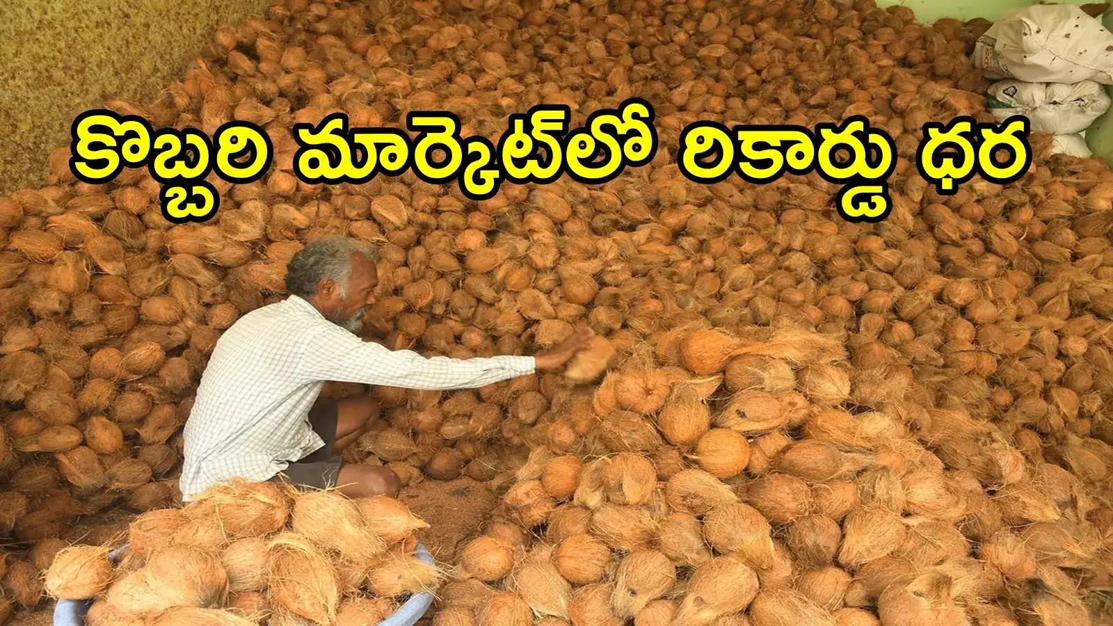 ఏపీలో కొబ్బరి రైతులకు లాభాల పంట.. మార్కెట్‌లో ధర డబుల్, వెయ్యి కాయలు ఎంతంటే!