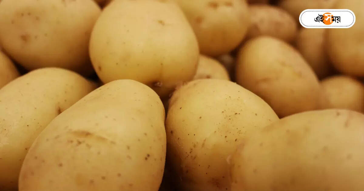 Potato Price : হিমঘরে আলু ঢুকতেই বন্ডের দাম আকাশছোঁয়া – as potatoes enter the freezer bond price hike in burdwan district