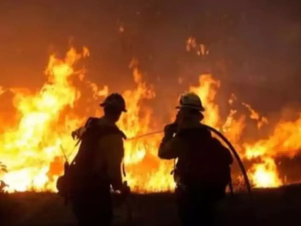 ஹைதராபாத் அடுக்குமாடி குடியிருப்பு தீ விபத்து: 7 பேர் மரணம் - பலர் படுகாயம்! எப்படி நிகழ்ந்தது? 