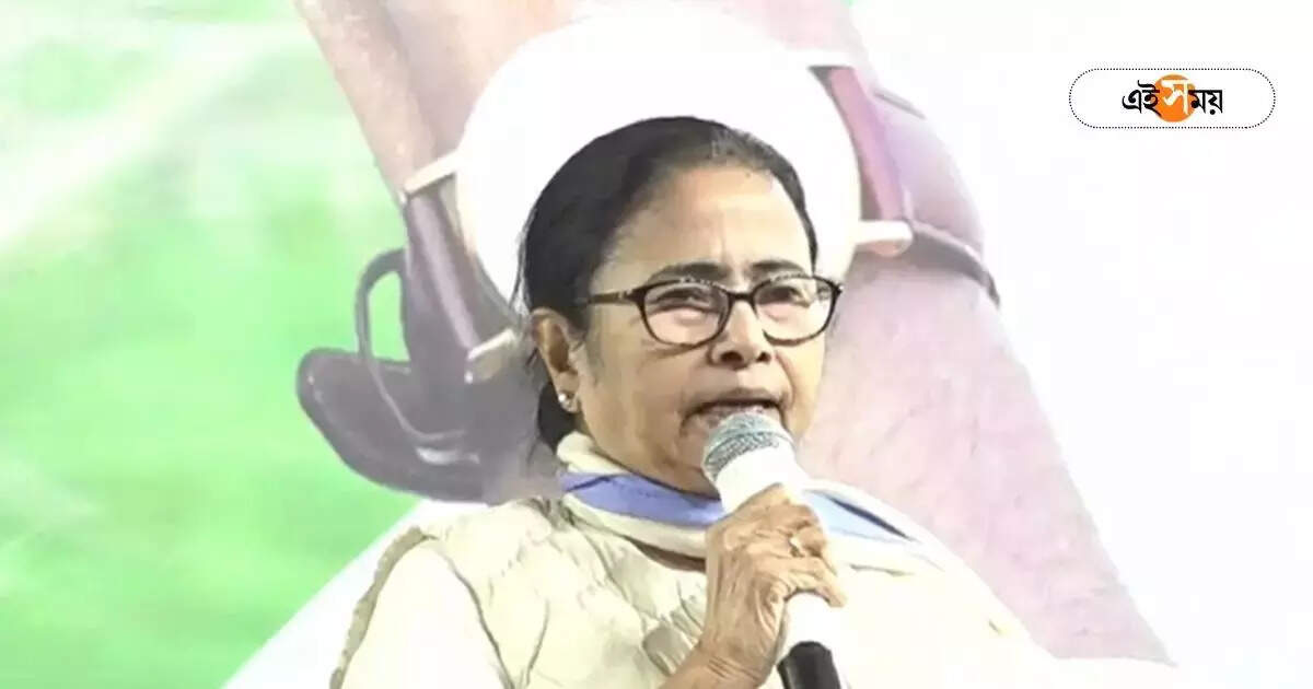 ‘…পয়লা ফেব্রুয়ারিতেই পাবেন’, লক্ষ্মীর ভাণ্ডার-বার্ধক্য ভাতা নিয়ে খুশির খবর দিলেন মমতা