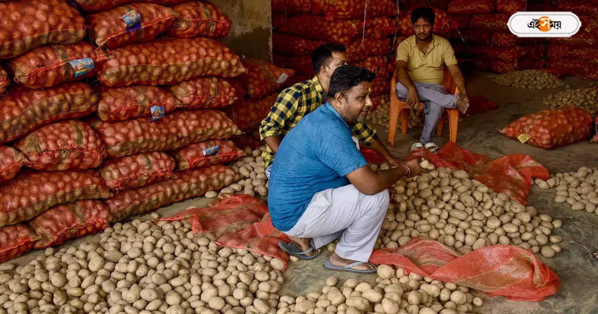 Potato Price Today,হু হু করে বাড়ছে দাম, উধাও চন্দ্রমুখী, আলুর আকাল জেলায় জেলায় – potato price increasing in west bengal for business association strike