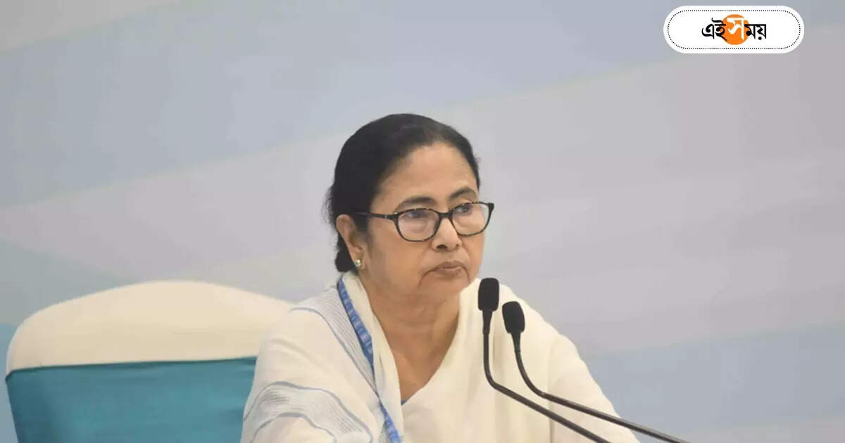 Mamata Banerjee : ২৪-এ ছক ইভিএম হ্যাকের? বিস্ফোরক অভিযোগ মমতার – mamata banerjee said that bjp strategy to win elections in 2024 is evm hack