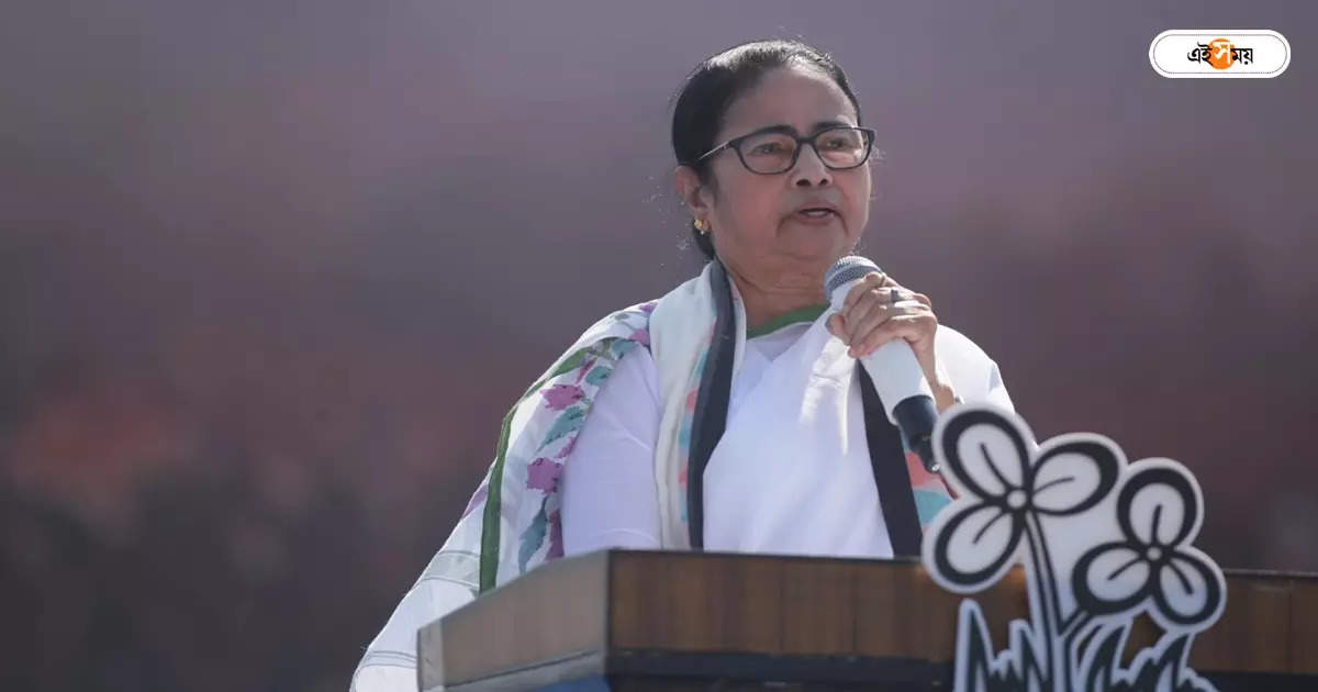 Mamata Banerjee News: কৃষ্ণনগর দিয়ে নির্বাচনী প্রচার শুরু, আগামী সপ্তাহে উত্তরবঙ্গে মমতা – lok sabha election mamata banerjee election campaign details