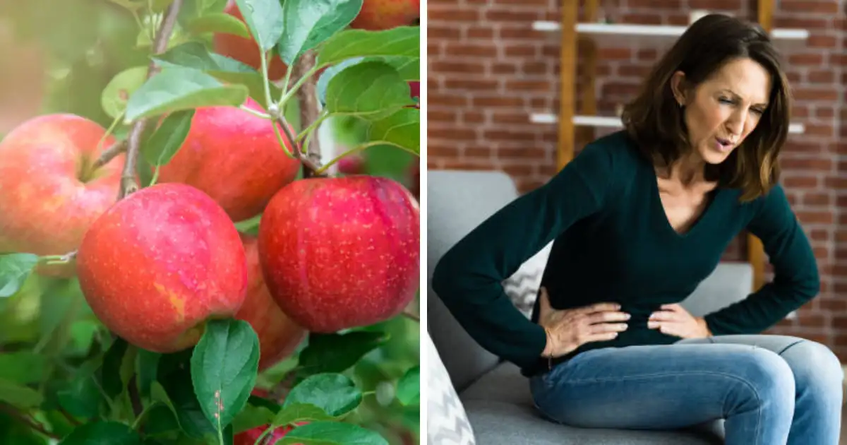 Wrong Foods, Fruits Combination With Apple Cause Indigestion, Gas