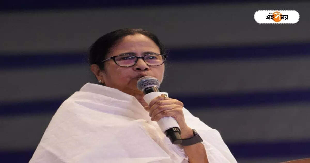 Mamata Banerjee Security: ফের নিরাপত্তা বিঘ্নিত? মুখ্যমন্ত্রীর বক্তব্যের মাঝেই মঞ্চে ওঠার চেষ্টা যুবকের, বিরক্ত মমতা – a person try to reach chief minister mamata banerjee when she was giving speech at biswa bangla mela ground