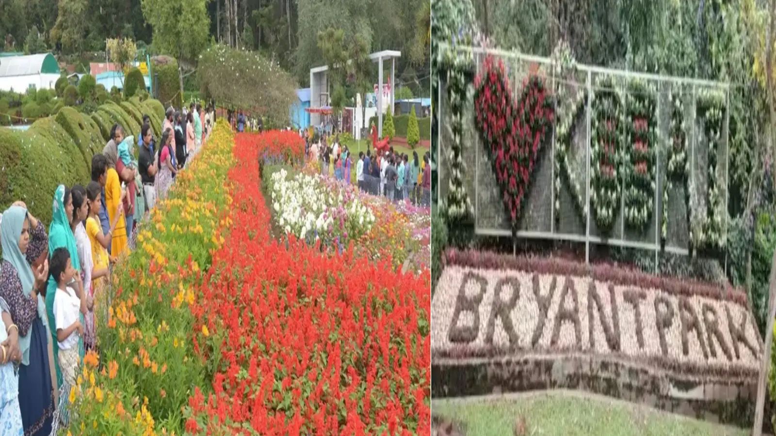 கொடைக்கானல் பிரையன்ட் பூங்காவில் பூத்துக் குலுங்கும் வண்ண மலர்கள்! சுற்றுலா பயணிகள் கவரும் செல்பி பாயிண்ட்! 