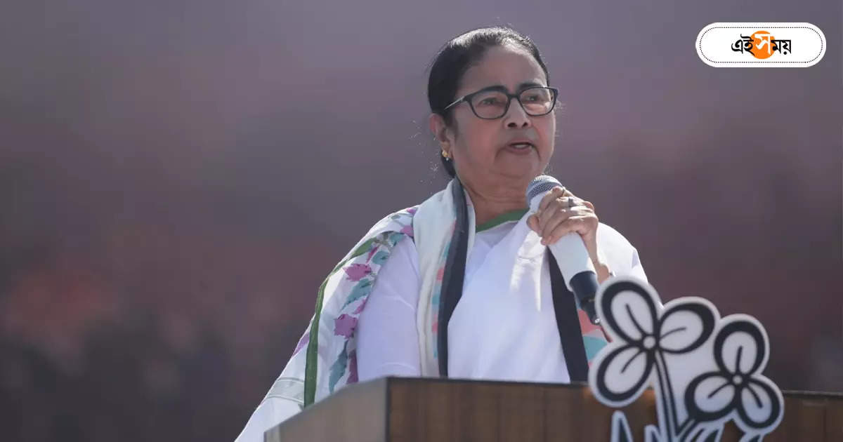 Mamata Banerjee : স্বনির্ভর গোষ্ঠীর মহিলাদের থেকে পাঁচটি হার কিনে দাম দিলেন মুখ্যমন্ত্রী – cm mamata banerjee bought five jewelry from habra mithali self help group