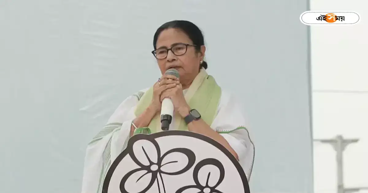 ডিসেম্বর মাসেই লোকসভা নির্বাচন? মমতার মন্তব্যে জোর জল্পনা