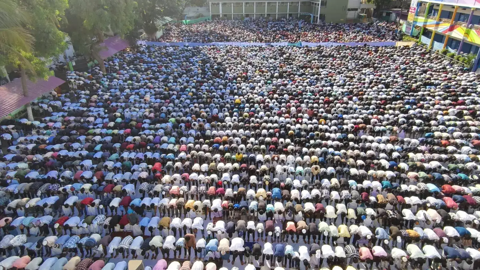 கோவையில் பக்ரீத் சிறப்பு தொழுகை... இஸ்லாமியர்கள் பங்கேற்பு! 