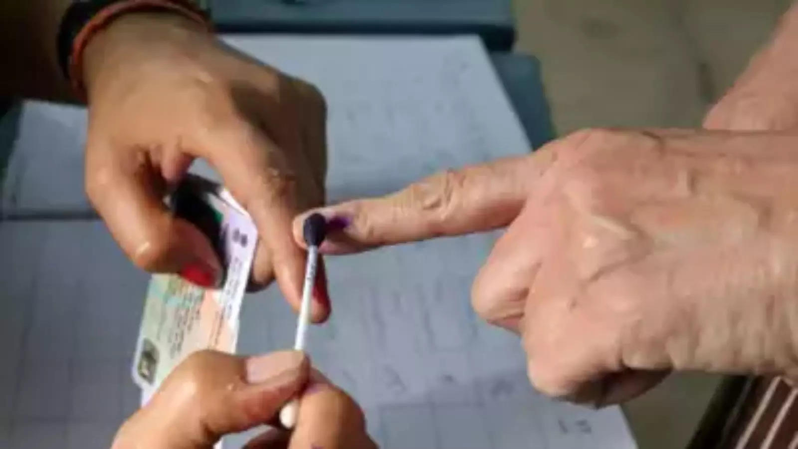 Biometric system will stop fake voting, experts advised