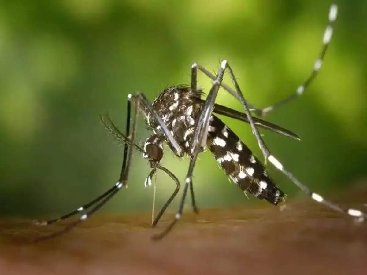 Malaria Dengue News: কীভাবে দমন করবেন ম্যালেরিয়া? জীবাণু নিধনে সচেতনতার বার্তা প্রাণিবিদ্যার অধ্যাপকের – mahishadal college organise awarness campaign for malaria and dengue