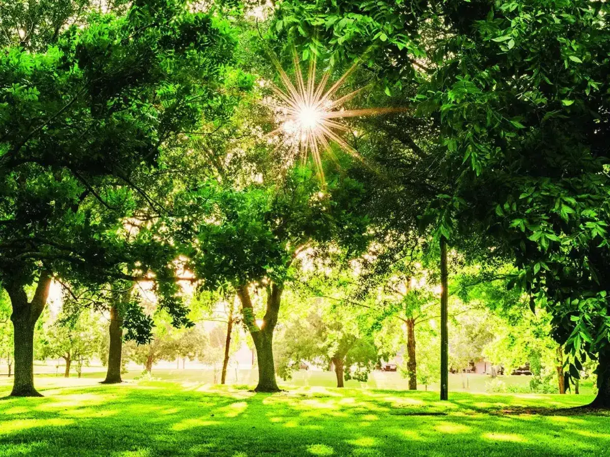 பெங்களூரு மக்களுக்கு கிடைச்ச நல்ல சான்ஸ்... BBMP இறக்கிய 2 திட்டங்கள்... லேக் பிரண்ட், க்ரீன் பிரண்ட்! 