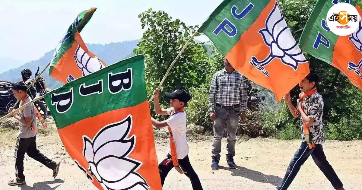 BJP In West Bengal: আরজি কর ছেড়ে বিজেপি এখন ব্যস্ত বাংলাদেশ নিয়ে – bjp started raising voice against crime on minority hindu community in bangladesh