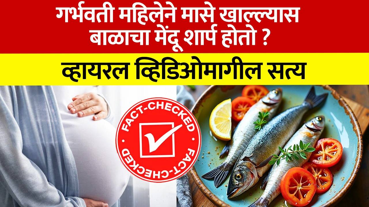 गर्भवती महिलेने मासे खाणे धोकादायक ? डॉक्टरांनी सांगितलं सत्य