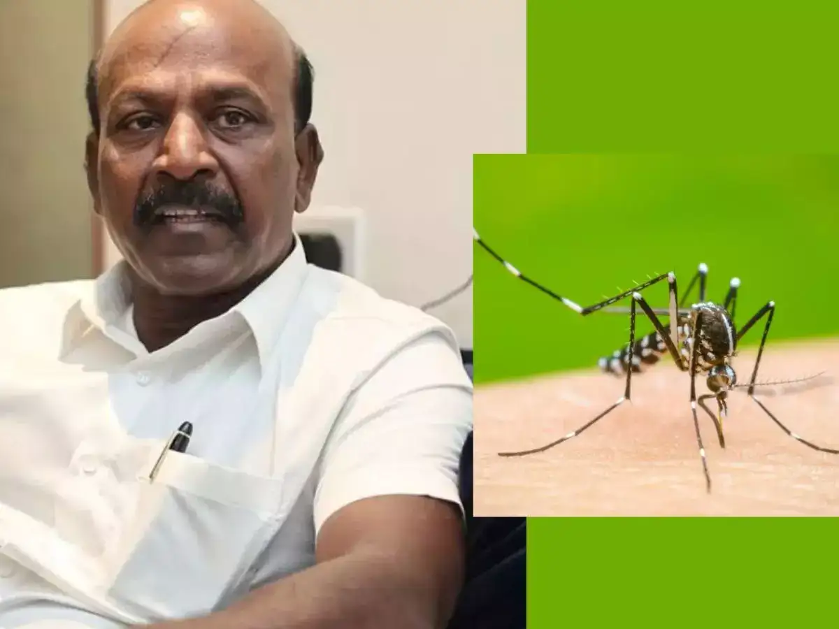 தமிழ்நாட்டில் அதிகரிக்கும் டெங்கு: அமைச்சர் மா.சுப்பிரமணியன் நடத்திய ஆலோசனை! 