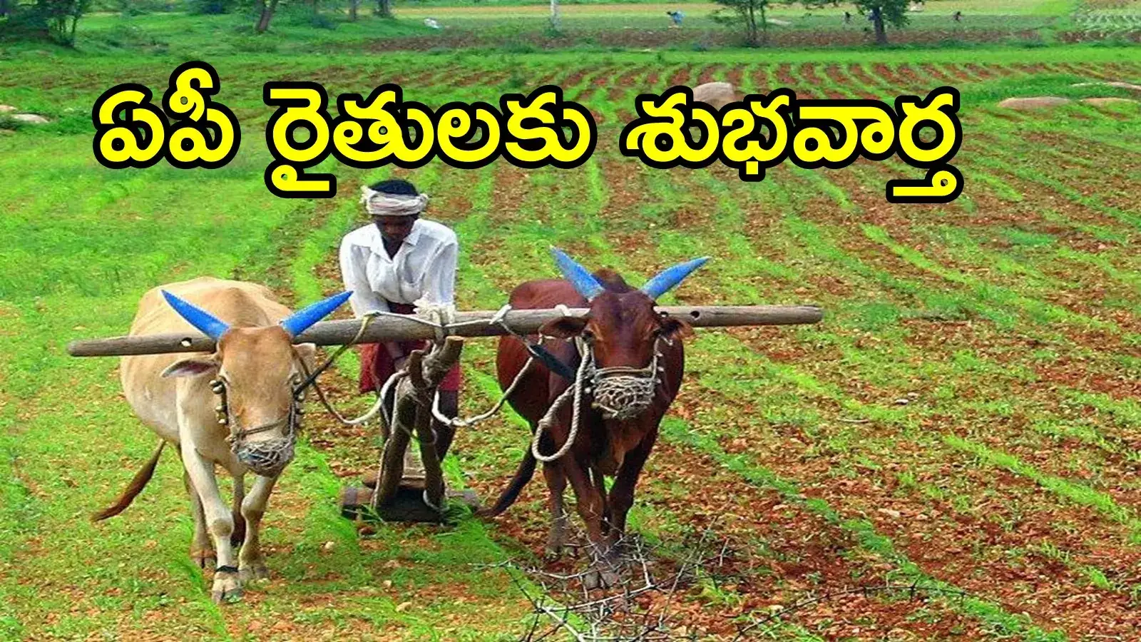 ఏపీ రైతులకు పండగే.. ఒక్కొక్కరి ఖాతాలో రూ.20వేలు, మంత్రి కీలక ప్రకటన