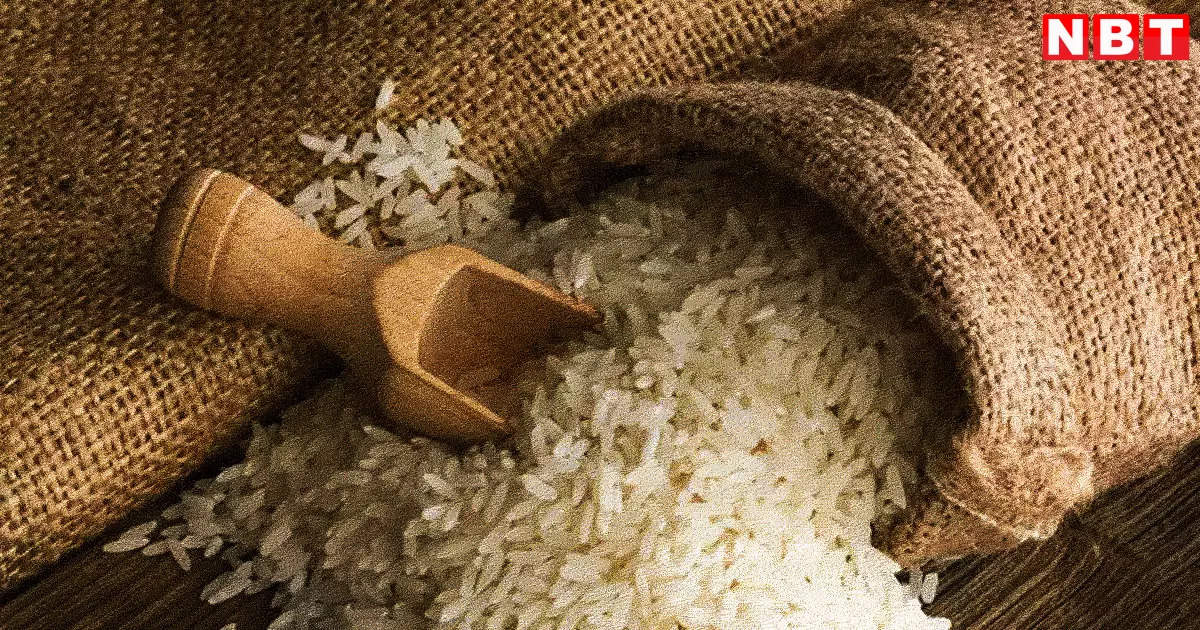 Rice Export Ban: Government banned the export of rice, know why it took such a decision