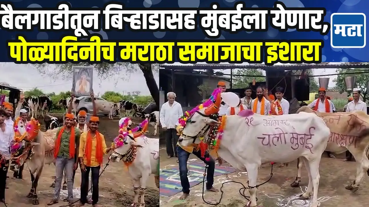 बैलांवर ‘चलो मुंबई’ लिहिलं, आरक्षणाची मागणी…मनोज जरांगेंपाठी मराठा समाज एकवटला बैलांवर ‘चलो मुंबई’ लिहिलं, आरक्षणाची मागणी…मनोज जरांगेंपाठी मराठा समाज एकवटला