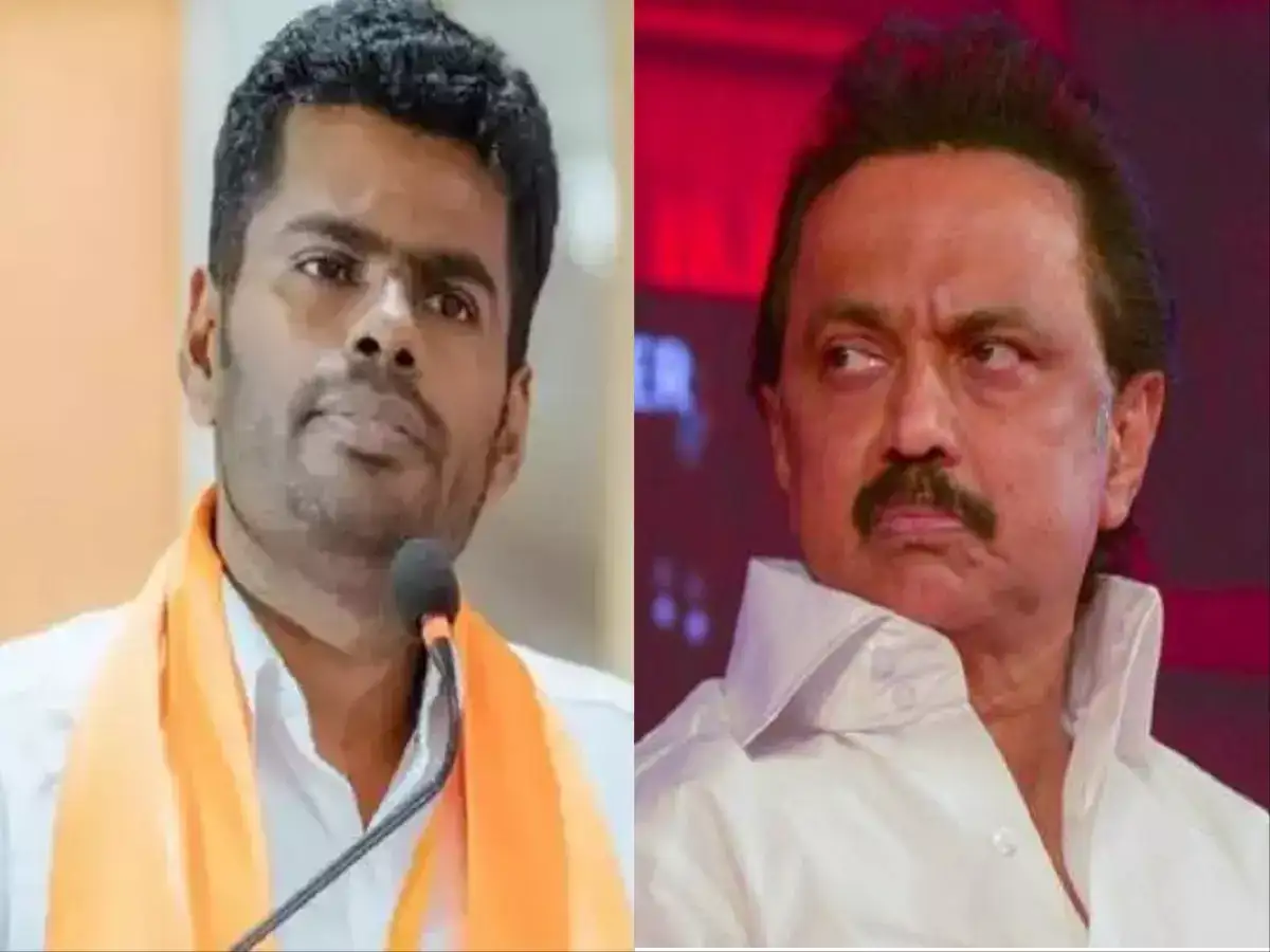 யாரு ஸ்டாலினா.. 