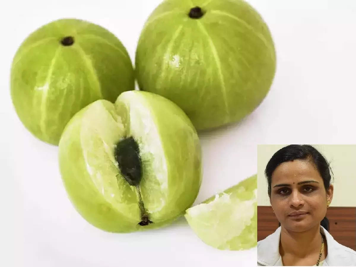 Health Benefits Of Amla,தினம் ஒரு நெல்லிக்காய் நிரந்தர எதிர்ப்பு சக்தி  கிடைக்கும்.. ஆயுர்வேத நிபுணர் சொல்வது என்ன? - uses and health benefits of  amla in ayurveda according to ...