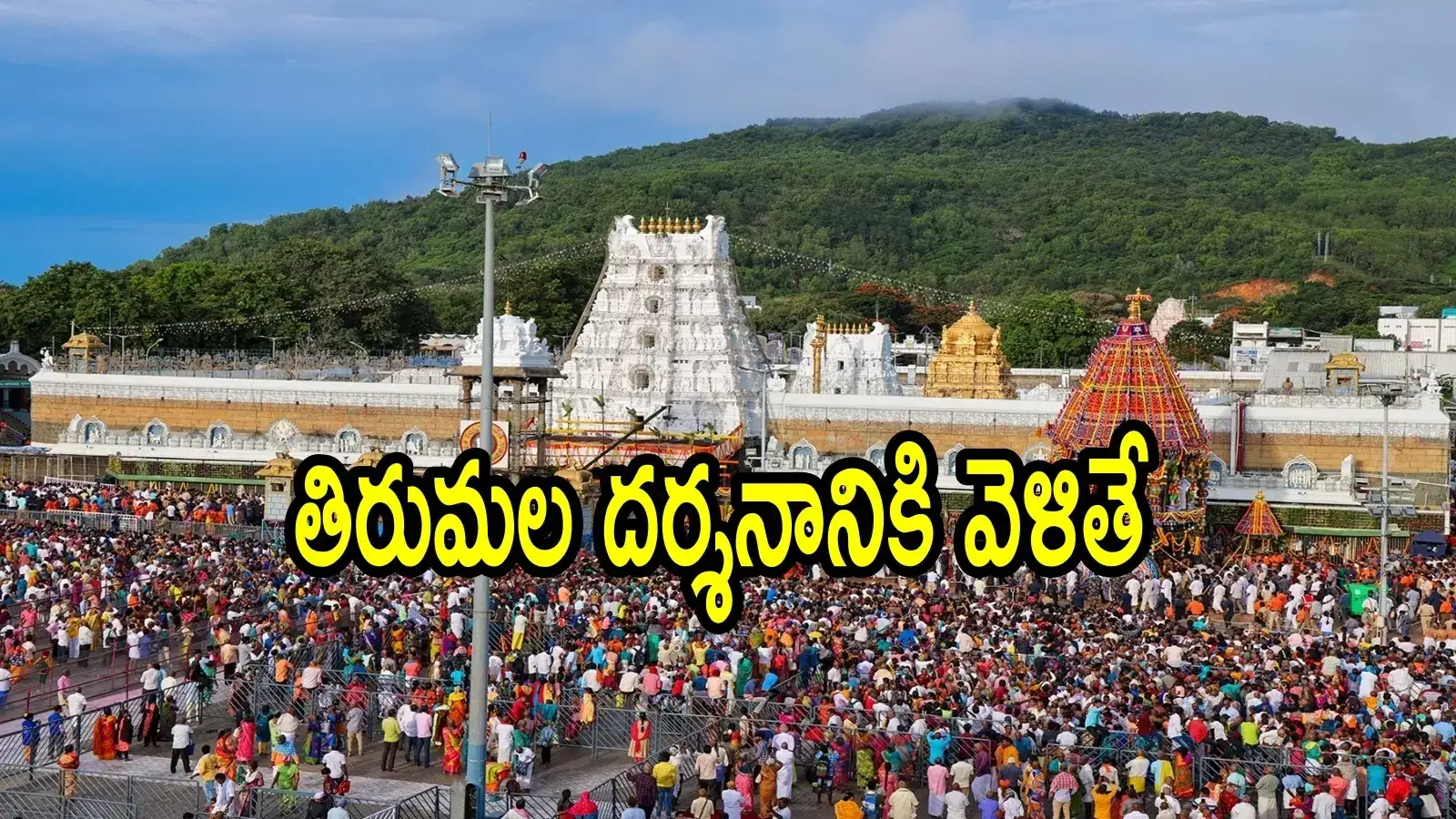 తిరుమల శ్రీవారి వీఐపీ బ్రేక్ దర్శనమంటే ఆశపడ్డ చెన్నై భక్తుడు.. క్యూలైన్‌లోకి వెళ్లాక దర్శన టోకెన్ చూస్తే!