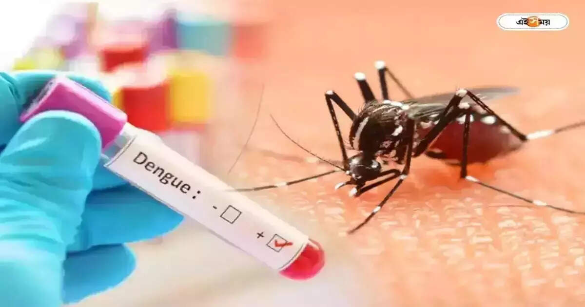 Dengue In Kolkata : ডেঙ্গি ঠেকাতে আবর্জনা মুক্ত হবে পুকুর, খরচ তুলতে চাপবে ট্যাক্স – kolkata municipal corporation has decided to clean all the ponds and water bodies to prevent dengue