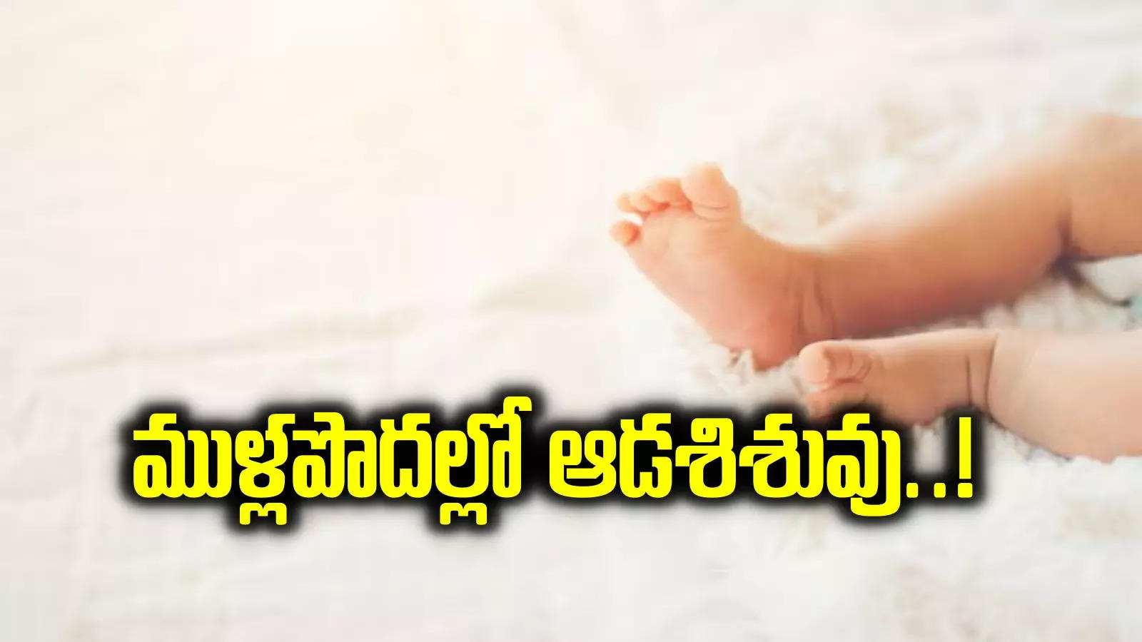 మేడ్చల్‌లో దారుణం.. చీమలు కొరికి, ముళ్లు గుచ్చుకుని, ఒళ్లంతా రక్తంతో ఆడశిశువు.. చివరికి..!