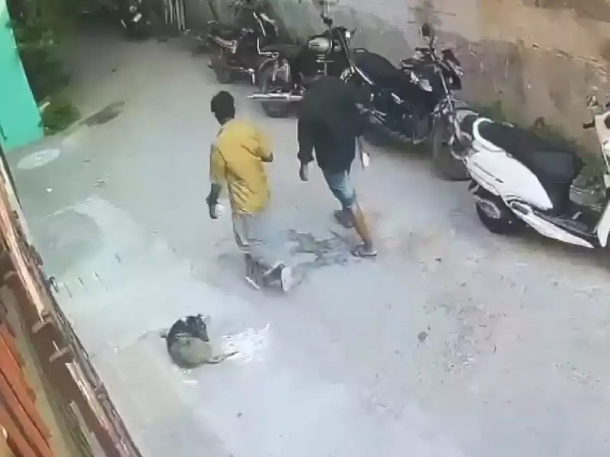 காஞ்சியில் பட்டபகலில் இருசக்கர வாகனம் அபேஸ்! 