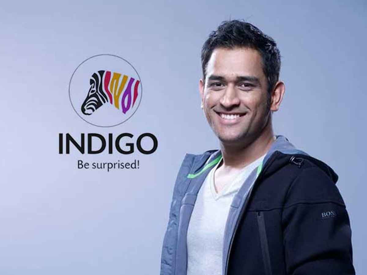 Indigo Paints Q2 PAT seen up 101.9% YoY to Rs. 27.4 cr: Motilal Oswal