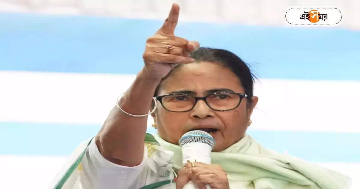 Mamata Banerjee: কে বড়, ডোন্ট কেয়ার! দুর্গ রক্ষায় স্পষ্ট বার্তা – tmc leader mamata banerjee ordered arambagh party members to resolve all inner clash before lok sabha election