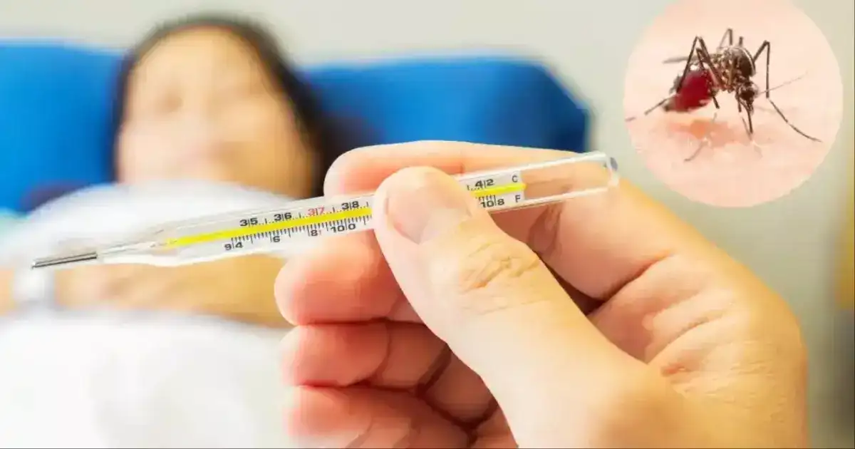 மூன்று மடங்கு அதிகரித்த இறப்பு எண்ணிக்கை : தலைத்தூக்கும் டெங்கு.. நெருக்கடியான நிலையால் பீதியில் மக்கள்! 