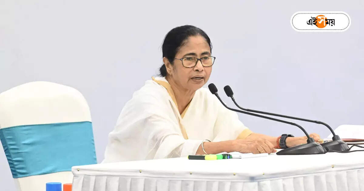 Mamata Banerjee : ‘অ্যারেস্ট করিয়ে ছাড়ব’, মমতার তিরে নেতা-পুলিশ – cm mamata banerjee warned if footpath occupied with money accused will be arrested