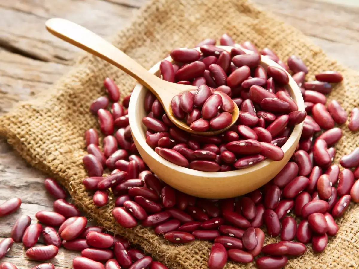 Health Benefits Of Kidney Beans,கிட்னி பீன்ஸ் உடலுக்கு வழங்கும்