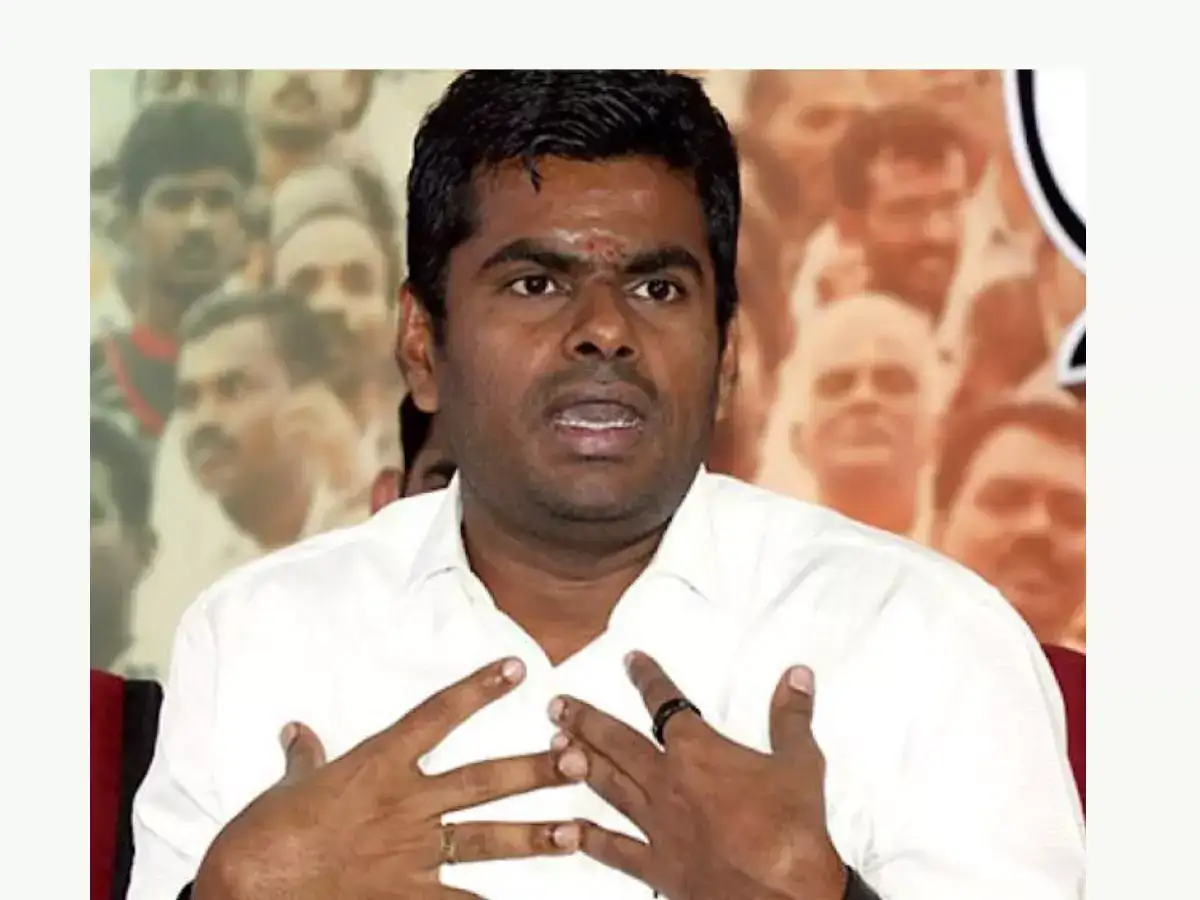 தமிழக அரசியல்வாதிகளுக்கு 'மெச்சூரிட்டி' ரொம்ப கம்மி.. சரமாரியாக சாடும் அண்ணாமலை! 