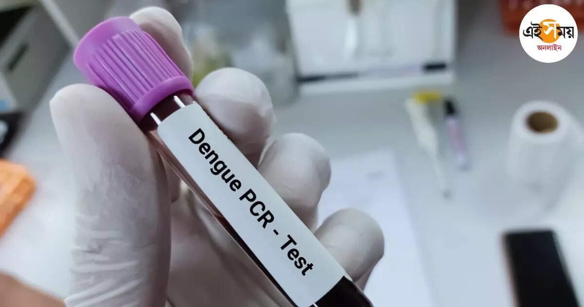 Dengue Fever,দেগঙ্গায় জ্বরের প্রকোপ, সতর্ক প্রশাসন – fever is increasing in several areas of deganga and haroa