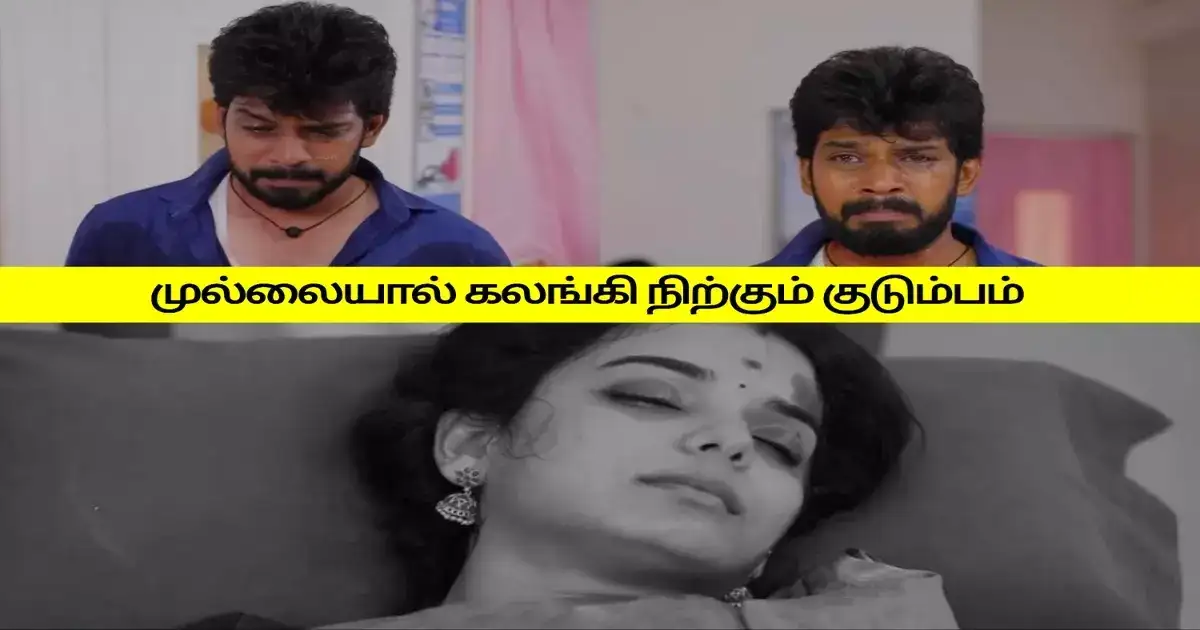 பாண்டியன் ஸ்டோர்ஸ்: அபாய கட்டத்தில் முல்லை.. கதறி அழும் குடும்பம்: கதிர் எடுத்த முடிவு.! 