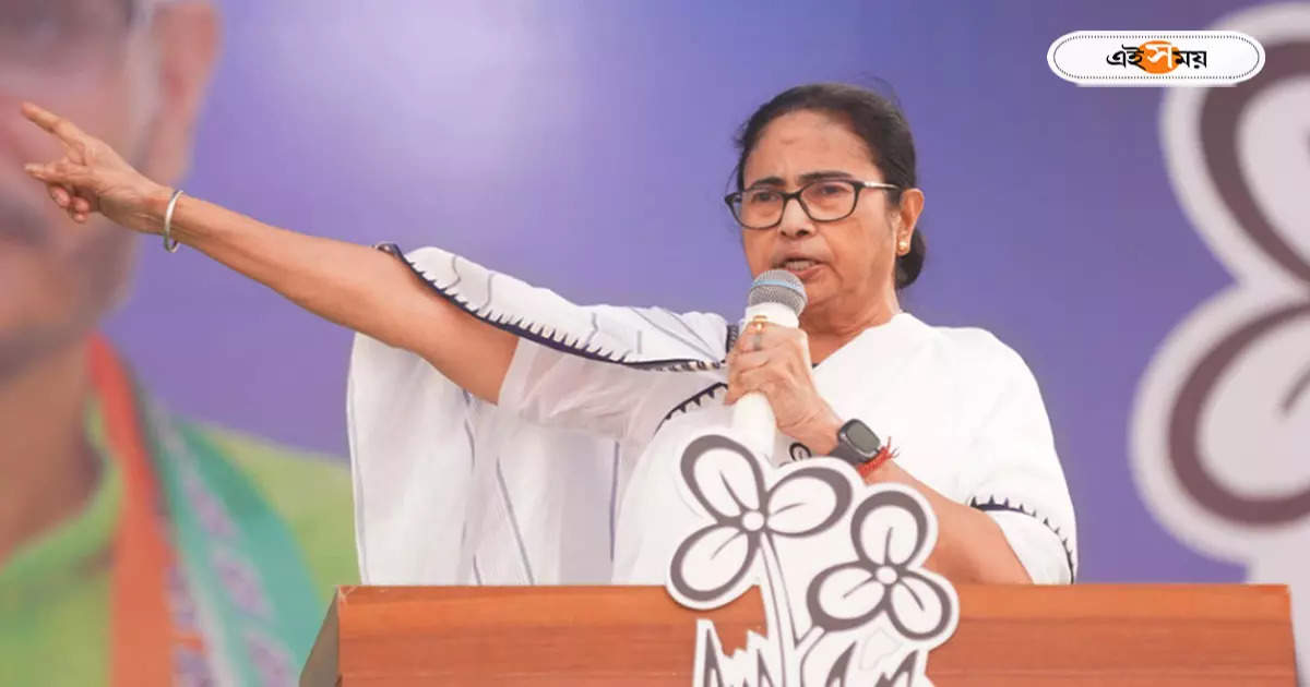 Mamata Banerjee : ‘নির্বাচনে জয়ী হতে ৩ পরিকল্পনা BJP-র’, বালুরঘাটের সভায় বিস্ফোরক মমতা – mamata banerjee shared bjp three plans to win lok sabha election from her rally