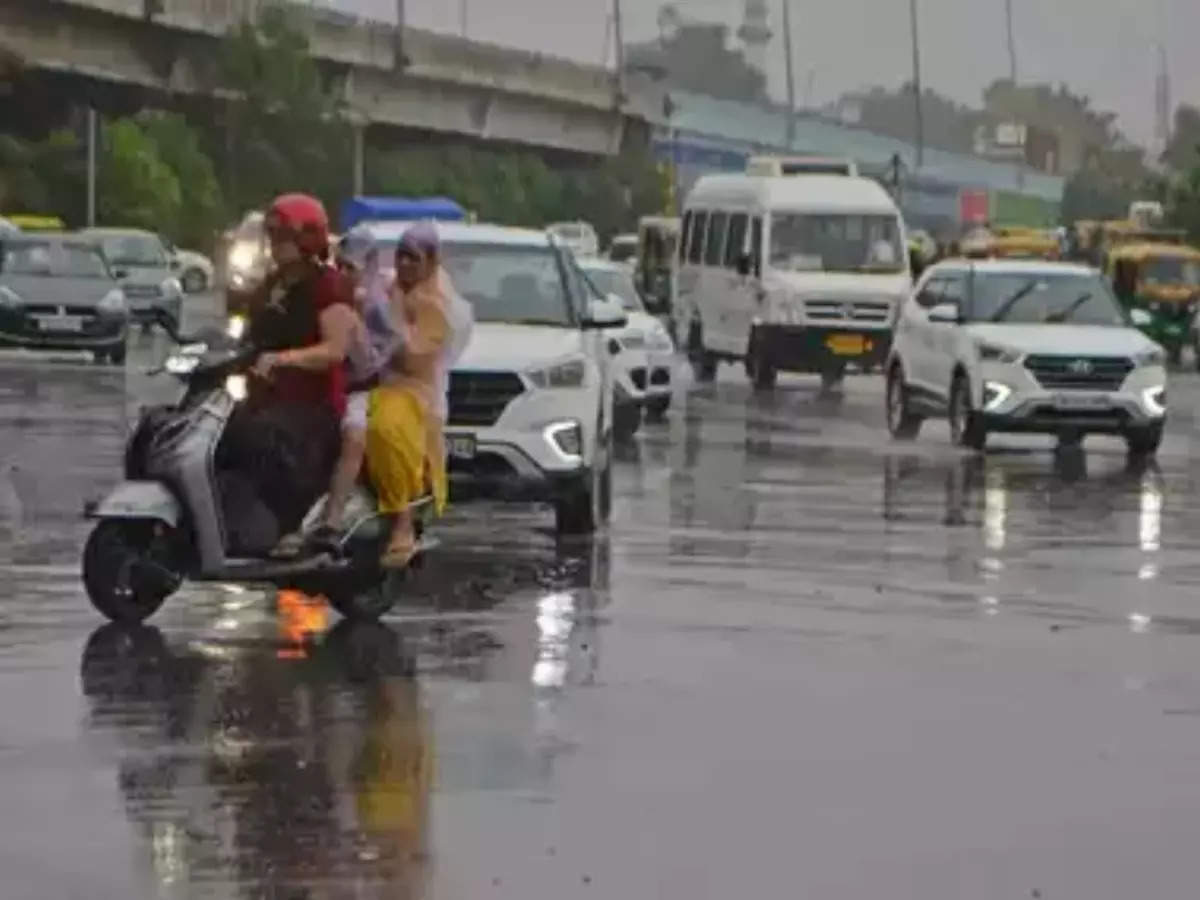 Haryana weather: Cold knock due to rain, weather took a turn in these districts, Chandigarh also got drenched by rain.