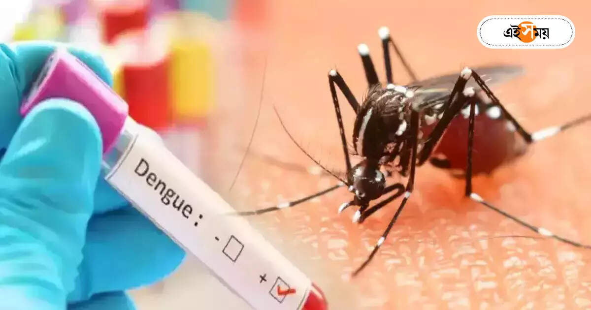 Dengue Fever : দক্ষিণ দমদমেই ফের মৃত ১ ডেঙ্গি আক্রান্ত – one lost life again in south dum dum due to dengue fever