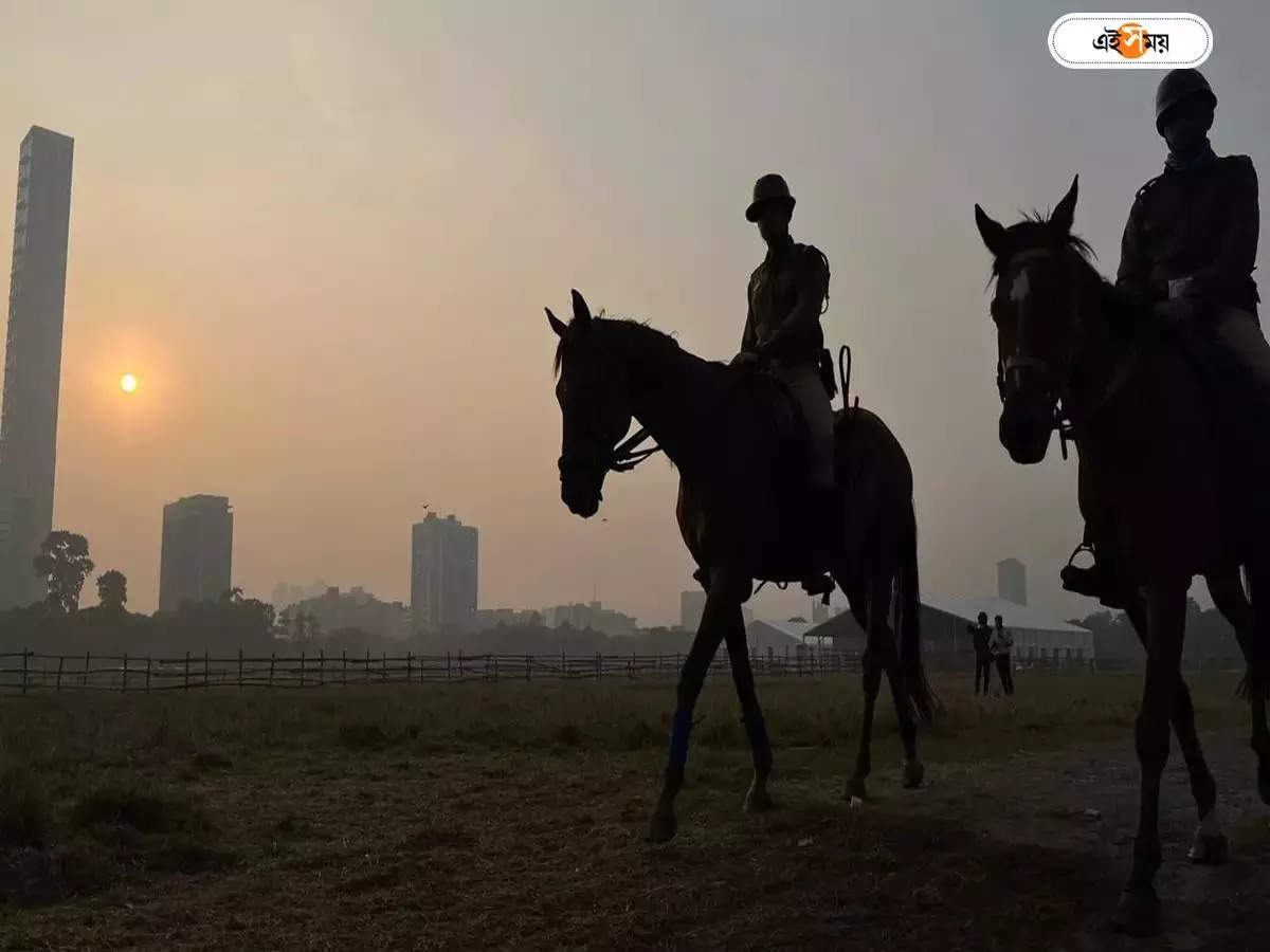 Weather Update : ভালোবাসার দিন কি বৃষ্টির ভ্রুকুটি? বড় আপডেট হাওয়া অফিসের – kolkata and south bengal temperature to remain same till 15 february no possibility of rainfall