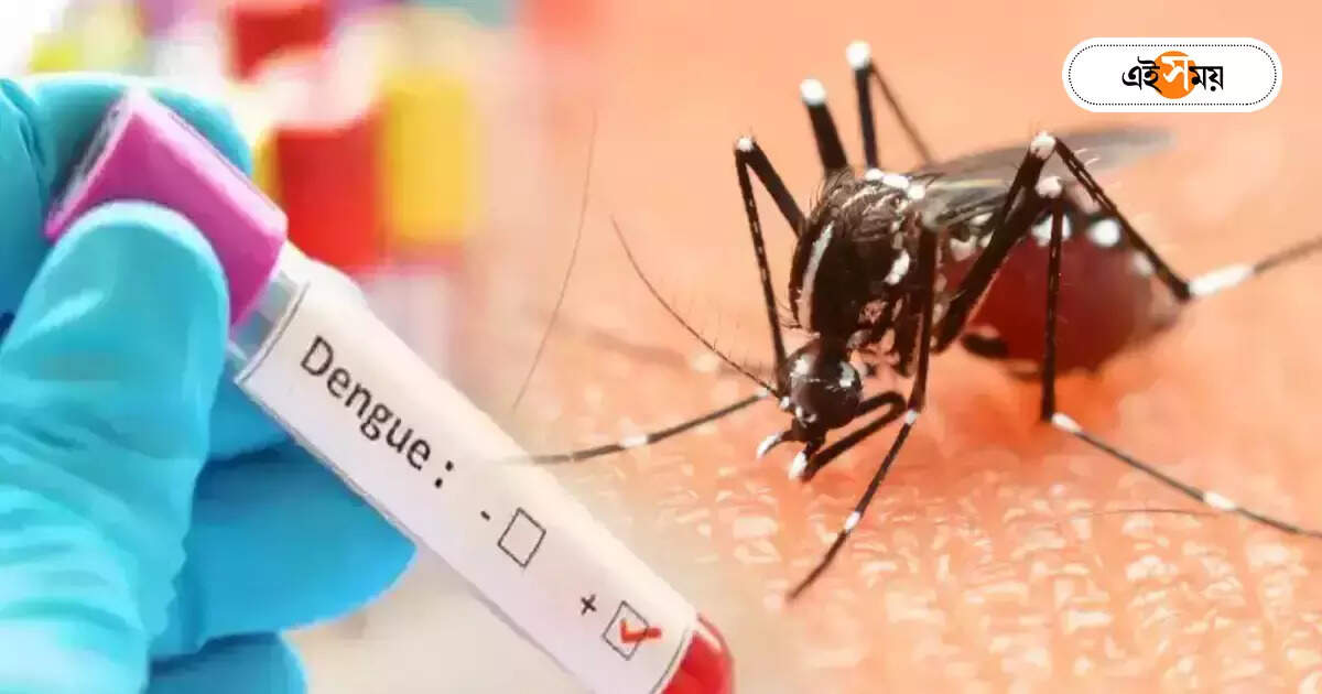 Dengue Fever : ভয়ংকর হতে পারে ডেঙ্গি, ডিএম’দের সতর্কবার্তা – dengue may take a more dangerous form in the next few weeks warns nabanna