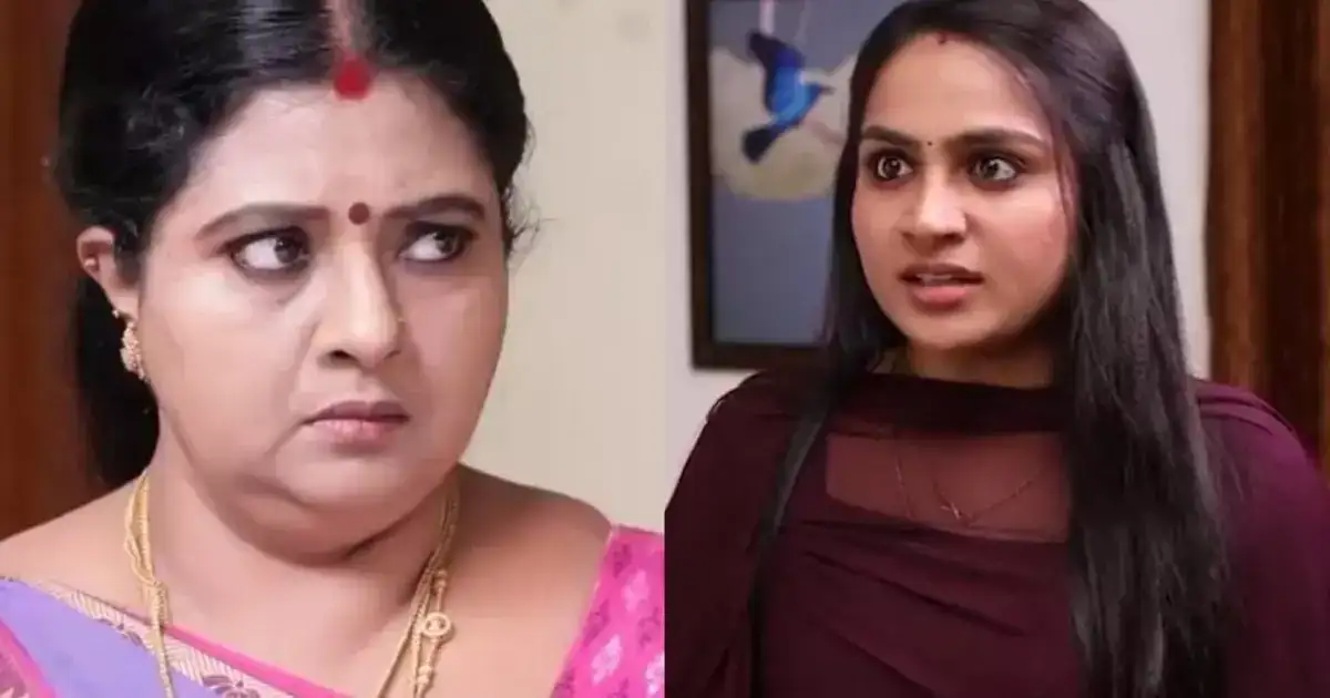 சிறகடிக்க ஆசை: விஜயாவுக்கு ஆப்பு வைக்க ரோகிணி போடும் திட்டம்.. இப்பதான் ஆட்டம் சூடு பிடிக்குது! 