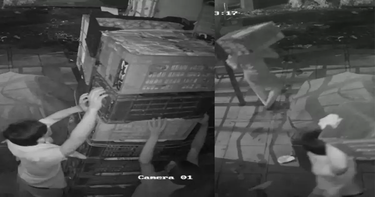 सावधान! दरवाढीमुळे टोमॅटो चोरांचा सुळसुळाट, एपीएमसी मार्केटमधील घटनेनं खळबळ सावधान! दरवाढीमुळे टोमॅटो चोरांचा सुळसुळाट, एपीएमसी मार्केटमधील घटनेनं खळबळ