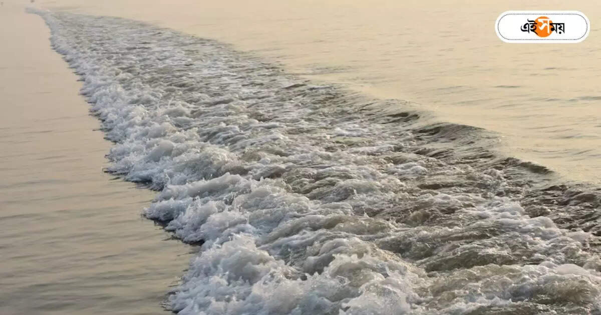 Digha Sea Beach: কৌশিকী অমাবস্যায় আচমকা বদলাল সমুদ্রের জলের রং! দিঘায় আতঙ্কে পর্যটকেরা – digha sea water colour suddenly changed tourist becomes scared in first place