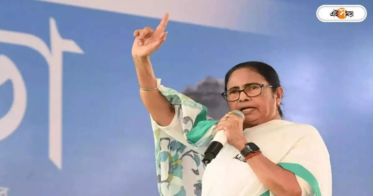 Mamata Banerjee : ভুলেই গেছি কমিশন আছে! মমতার তীব্র কটাক্ষে ইসি – west bengal cm mamata banerjee comments on election commission from durgapur lok sabha vote campaign stage