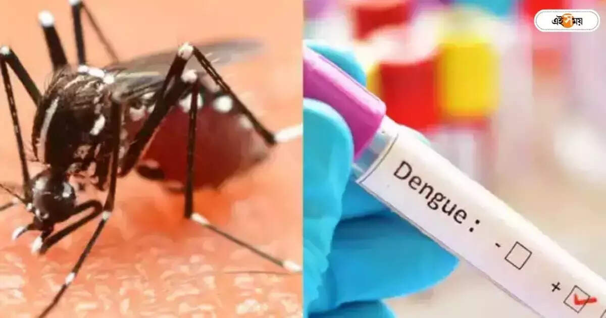 Dengue Fever : ডেঙ্গির ভাইরাস গ্রামেও, সংক্রমণের শীর্ষে নদিয়া – nadia is at the top of the infection of dengue fever