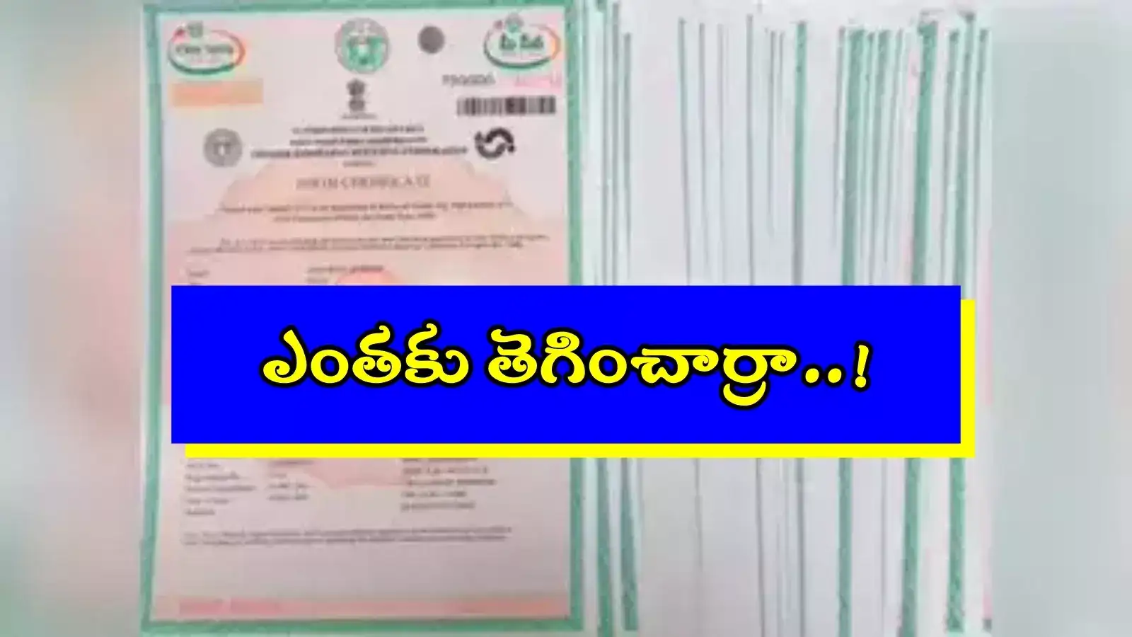 HYD: అంగట్లో సరుకుల్లా బర్త్ సర్టిఫికేట్లు.. రూ.15 వేలు ఇస్తే చాలు, ఉగ్రవాదికైనా ఇచ్చేస్తారు..!